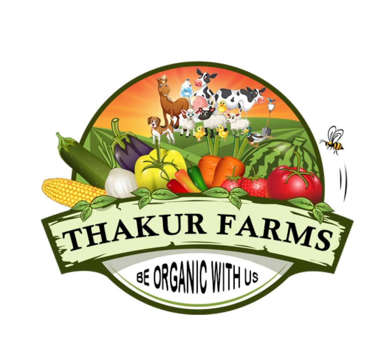 WhatsApp Image 2025-11-17 at 18.27.08_cabf5a2d